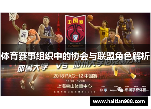 体育赛事组织中的协会与联盟角色解析