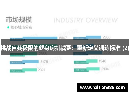挑战自我极限的健身房挑战赛：重新定义训练标准 (2)
